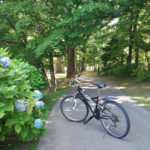 札幌の中島公園の遊歩道と自転車と紫陽花