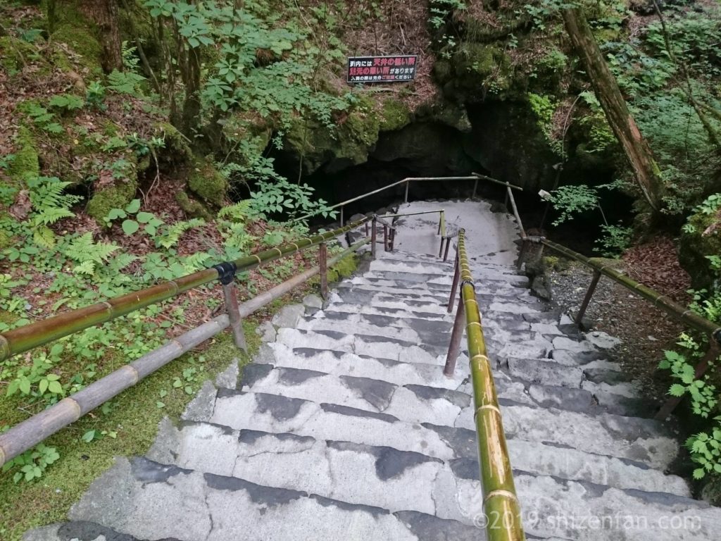 富岳風穴内へ降りる階段