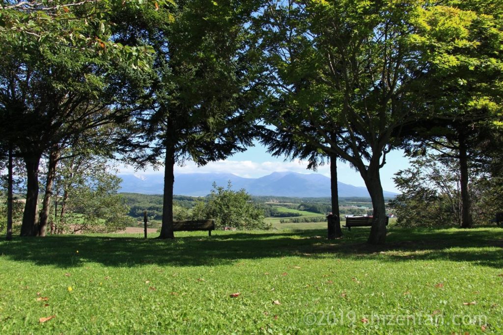 上富良野町の日の出公園の芝生と木々、木々の合間から見える山々