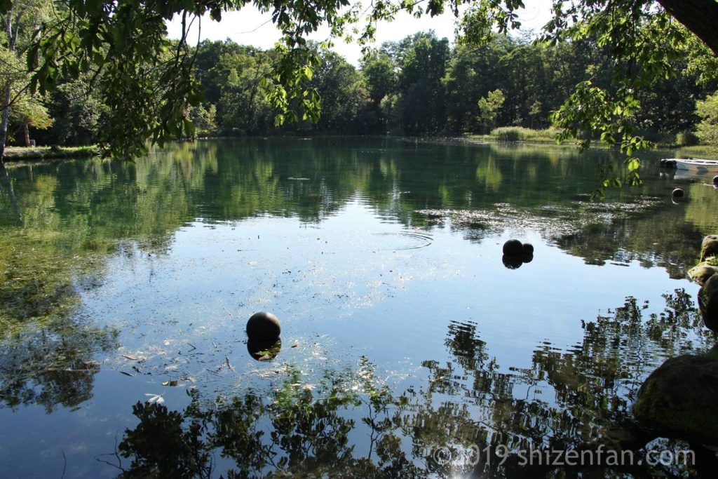 富良野の烏沼公園にある沼の全景、周囲に繁る木々が映り込む水面