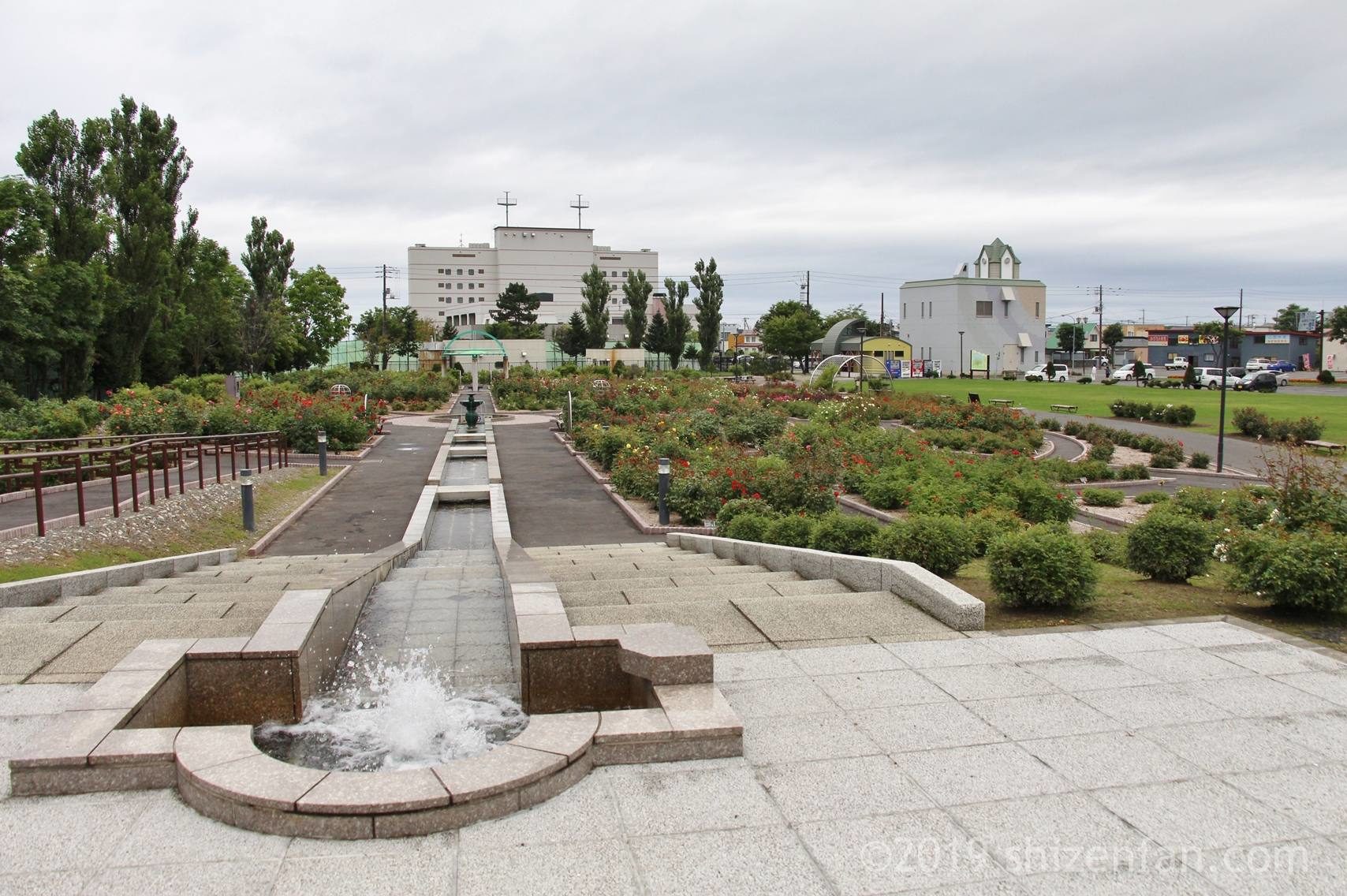 花の名所レポート 1 はぼろバラ園の見頃はいつ ８月中旬の様子 羽幌町 しぜんfan