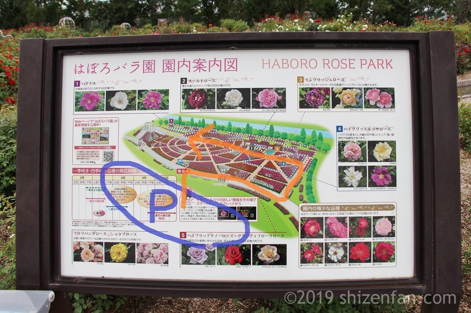 羽幌バラ園、園内案内図