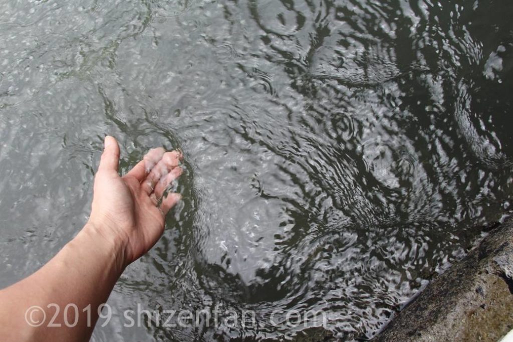 原尻の滝上部で水に触れるイメージ写真