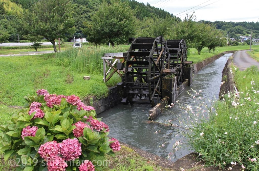 道の駅原尻の滝の向かいにある緒方井路の水車とピンクの紫陽花