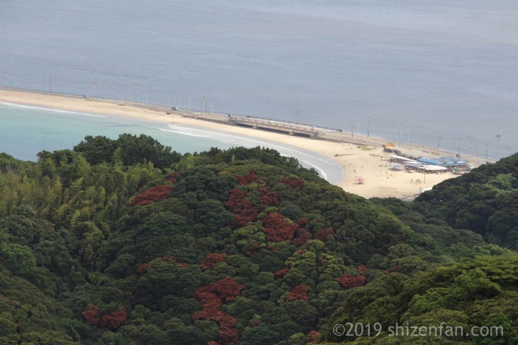 志賀島潮見公園展望台から見下ろす志賀島海水浴場