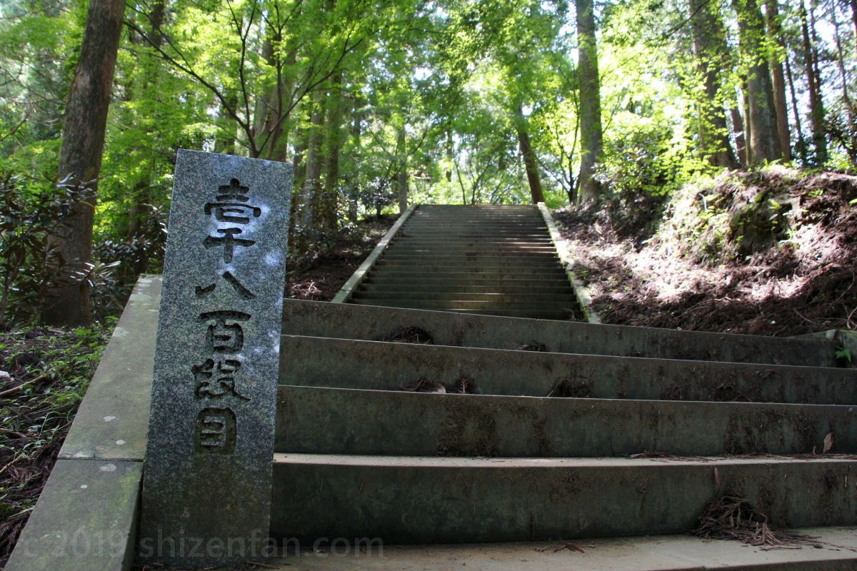 日本一の石段(釈迦院御坂遊歩道)1800段目