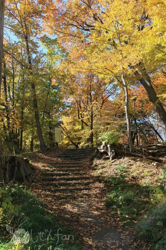 紅葉期の札幌円山公園