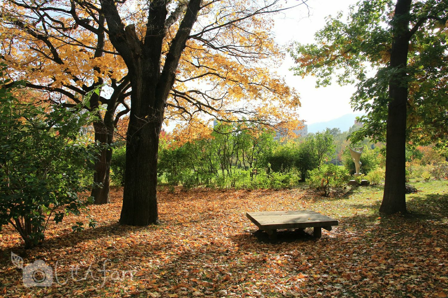 秋の札幌中島公園、木々に囲まれたベンチ