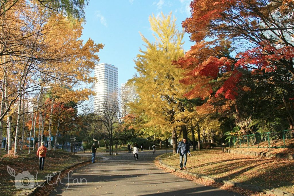 10月末の札幌中島公園内歩道の様子