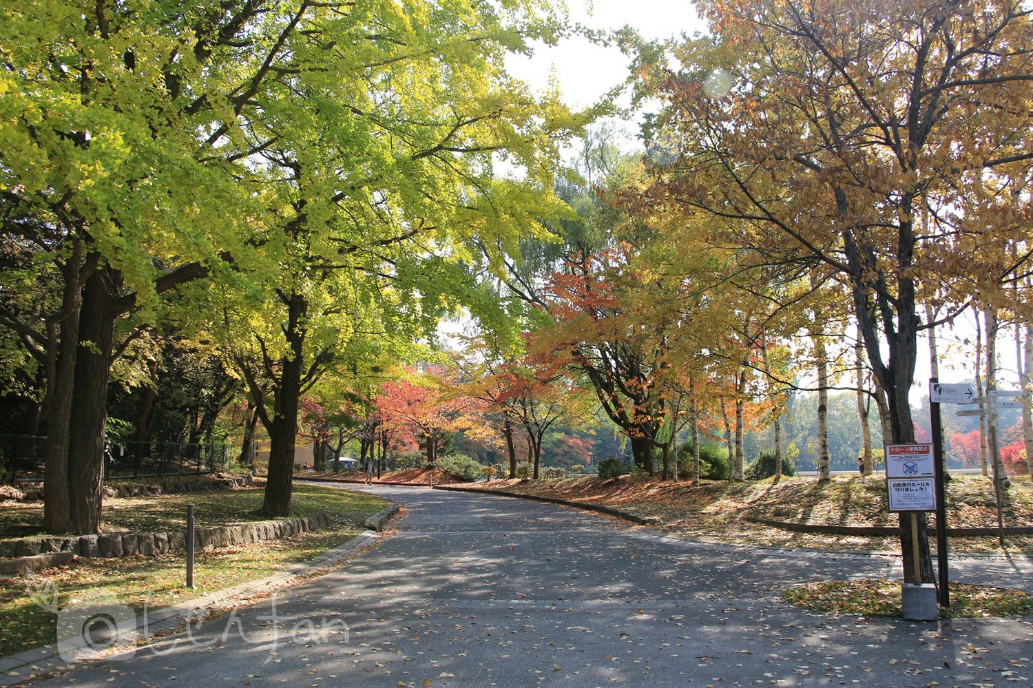 紅葉初期の中島公園内の通路