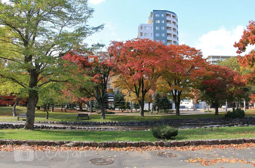秋の札幌中島公園、創成川付近