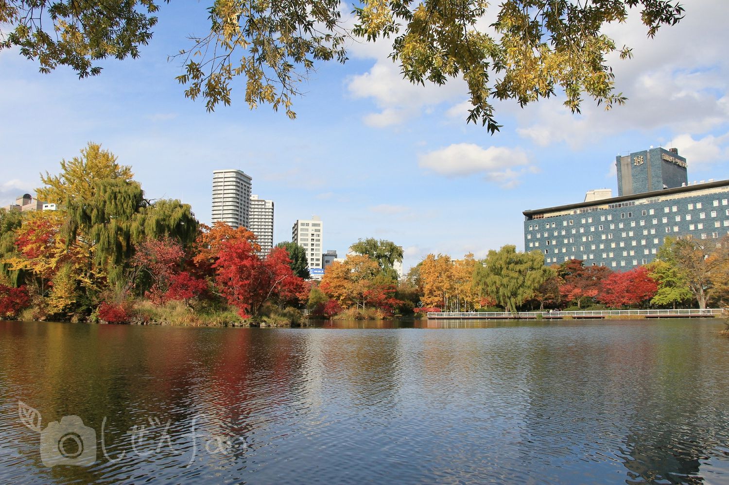紅葉期の札幌中島公園菖蒲池