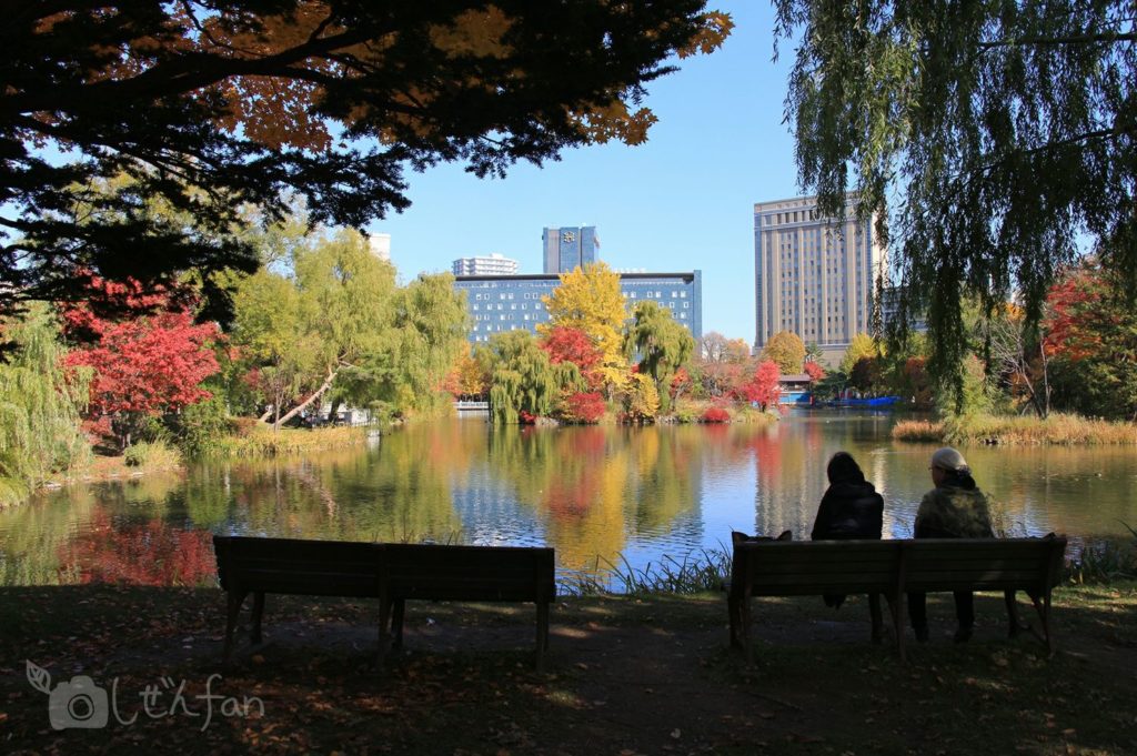 秋の札幌中島公園の菖蒲池とベンチシルエット