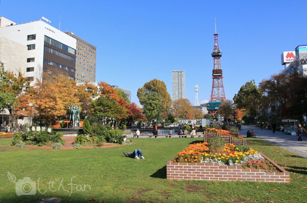 秋の札幌大通公園と花壇とテレビ塔