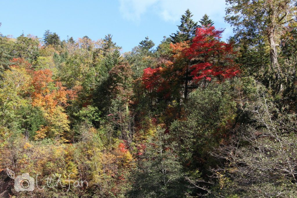 秋の恵庭渓谷の紅葉