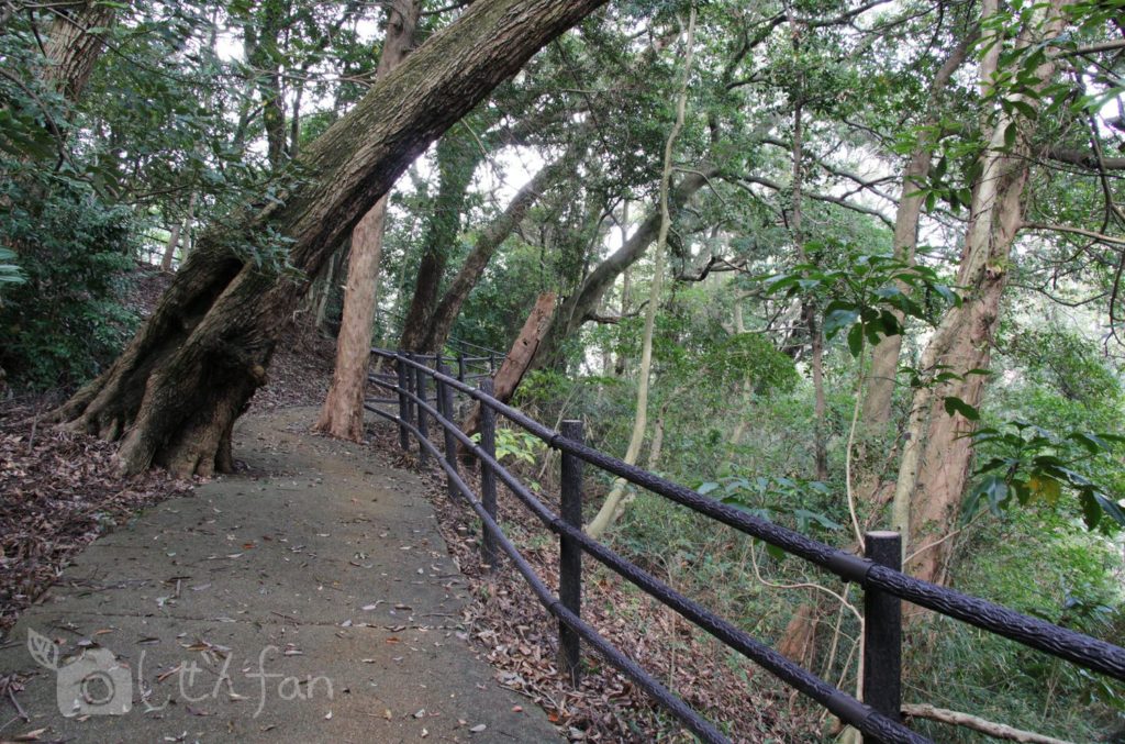 福岡西公園　東側駐車場から展望台広場への遊歩道