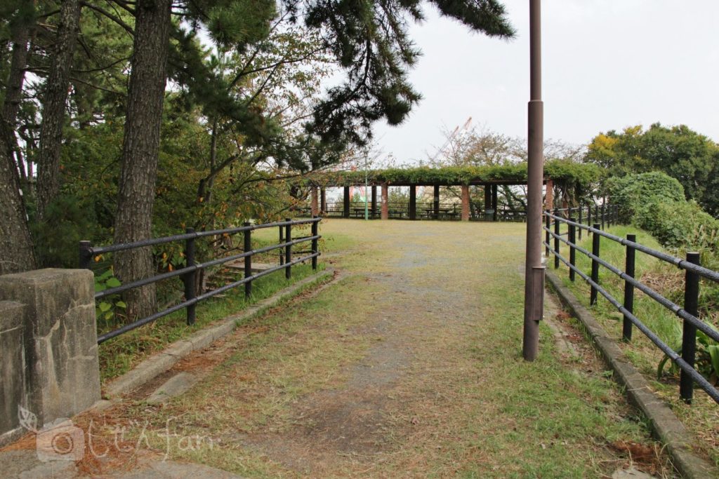 福岡西公園　東側展望台