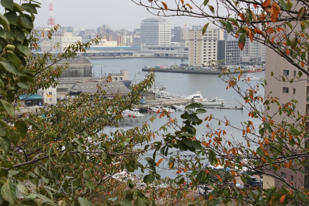 福岡西公園　東側展望台からの眺め