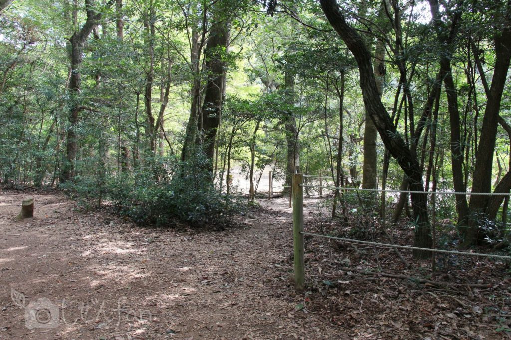 2019.10.6 篠栗九大の森 水辺の森周辺
