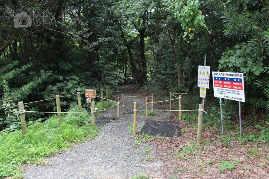 篠栗九大の森の北駐車場入口の様子