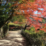 武雄・御船山楽園の紅葉