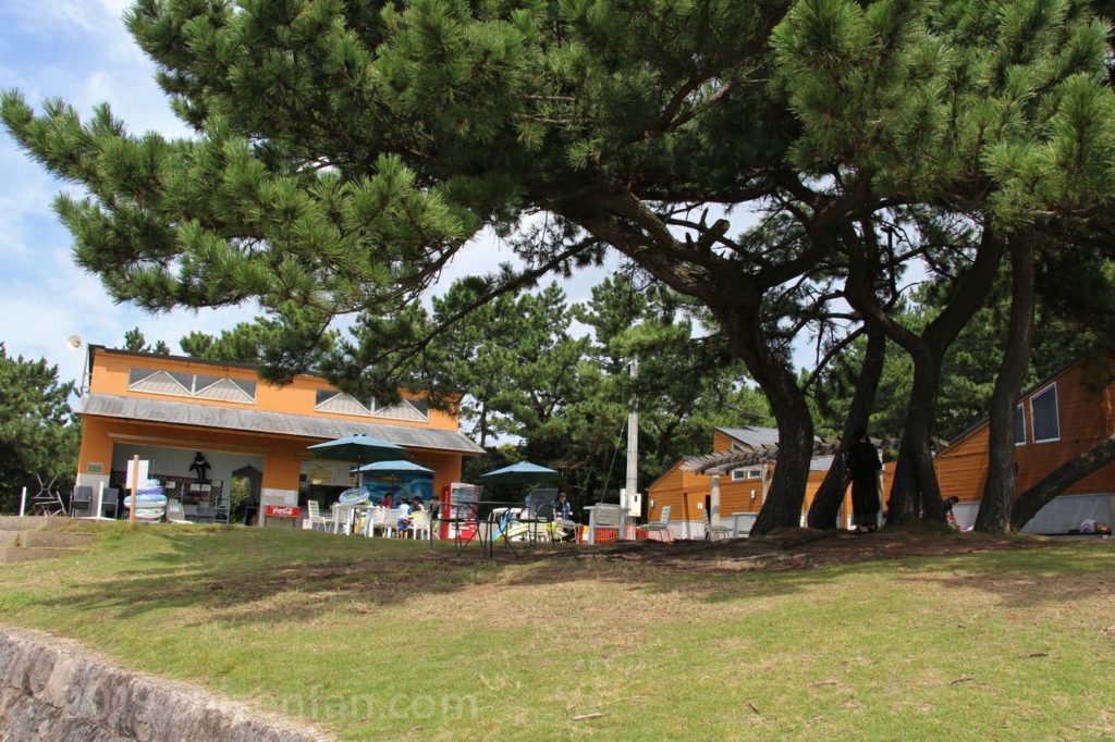 松の木越しに見る下馬ヶ浜海水浴場の売店エリア