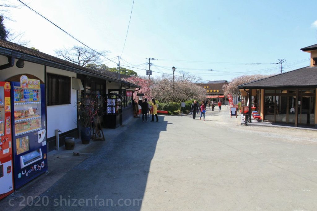 太宰府天満宮・梅園に立ち並ぶ茶店