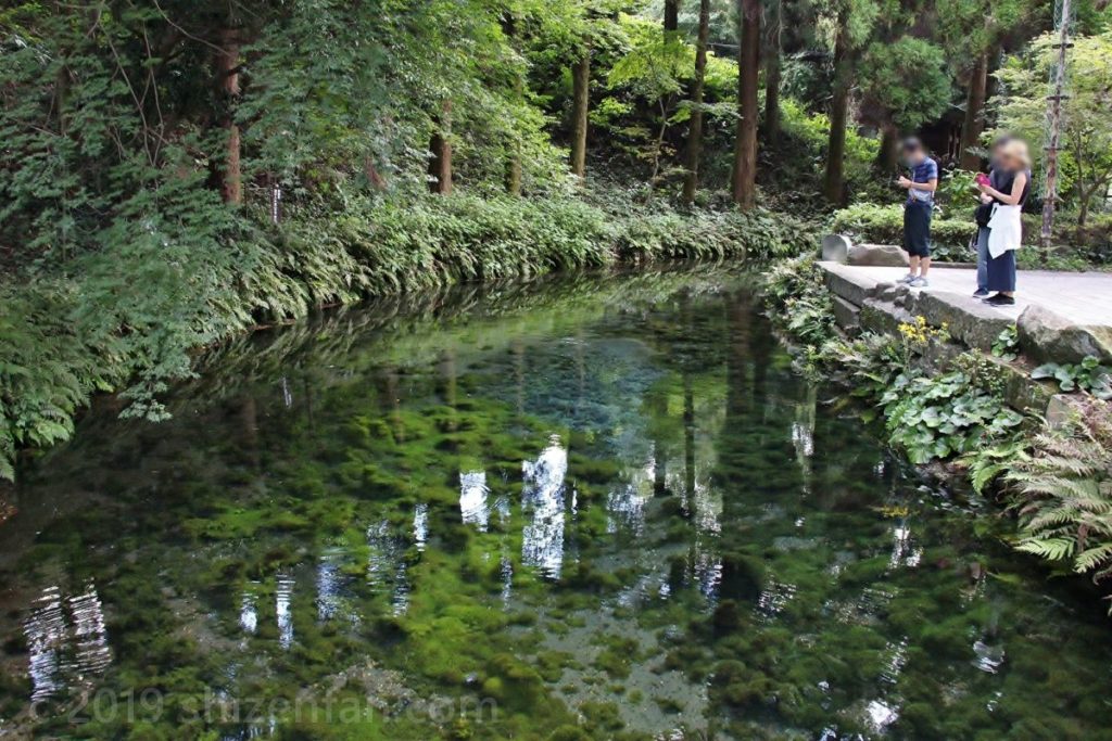白川水源の全景