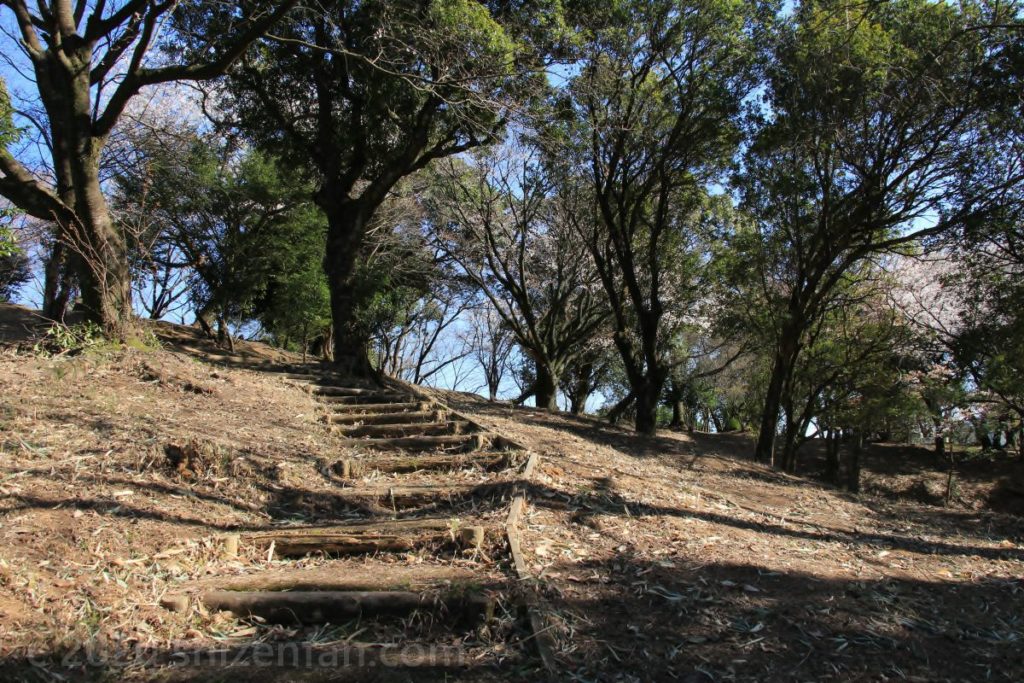 田原坂公園・自然の森内の散策路