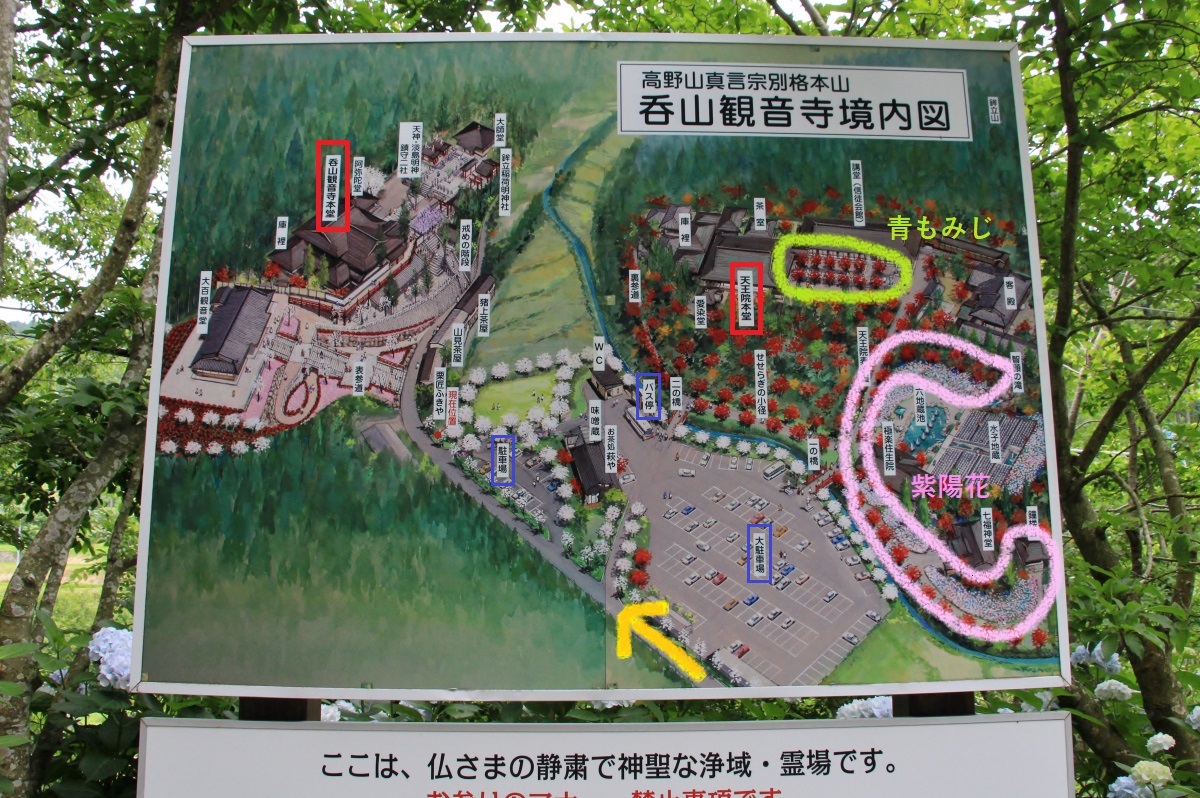 呑山観音寺境内図(現地写真)