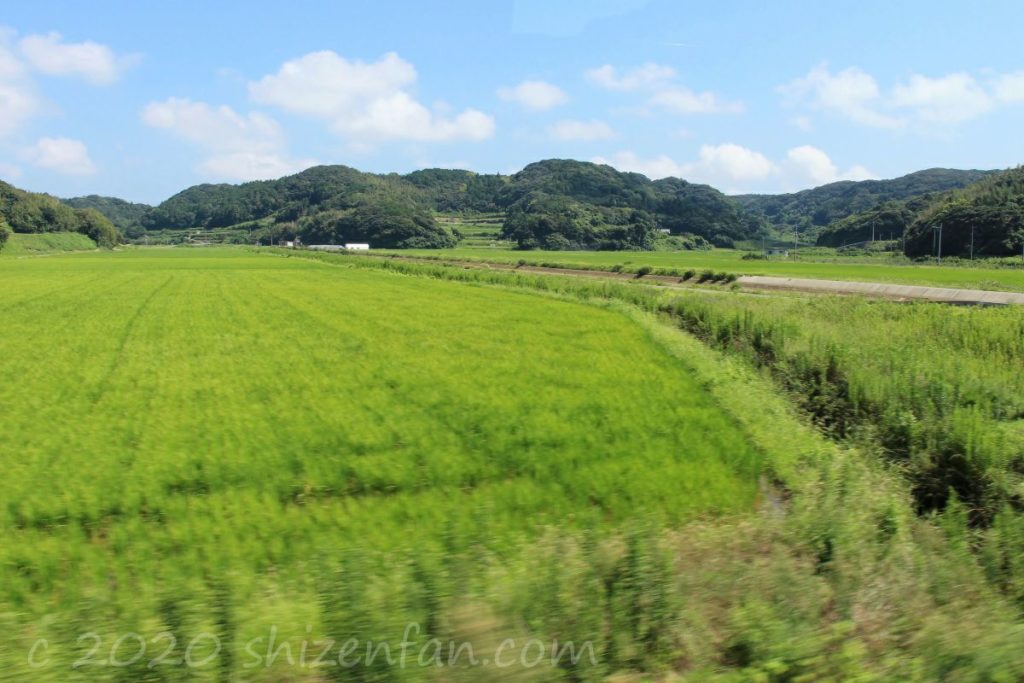 壱岐バスツアー中の車窓からの景色(田園風景)