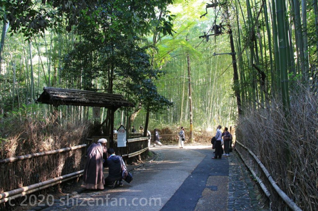 京都嵐山・竹林の小径