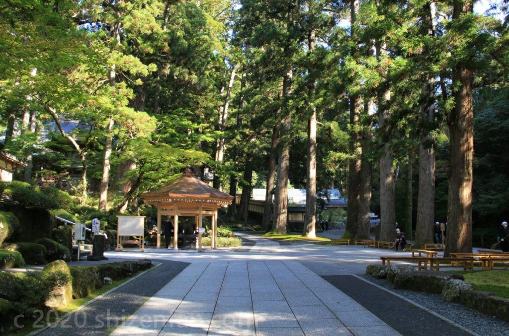 大本山永平寺、高い杉に囲まれた手水舎