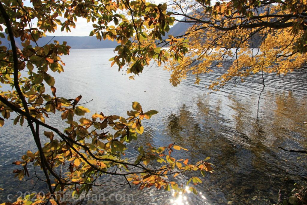 紅葉した木々の枝越しにきらめく秋の十和田湖