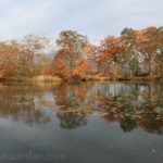 晩秋の大沼国定公園 紅葉した木々と木々を映した湖面